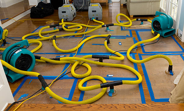 Professional Water Extraction technician working in Mattituck, NY